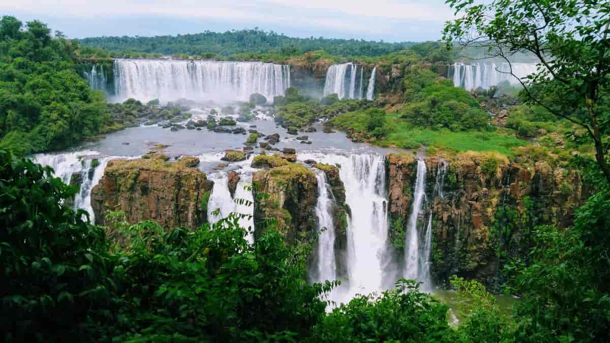 Iguaçu nasjonalpark, Paraná