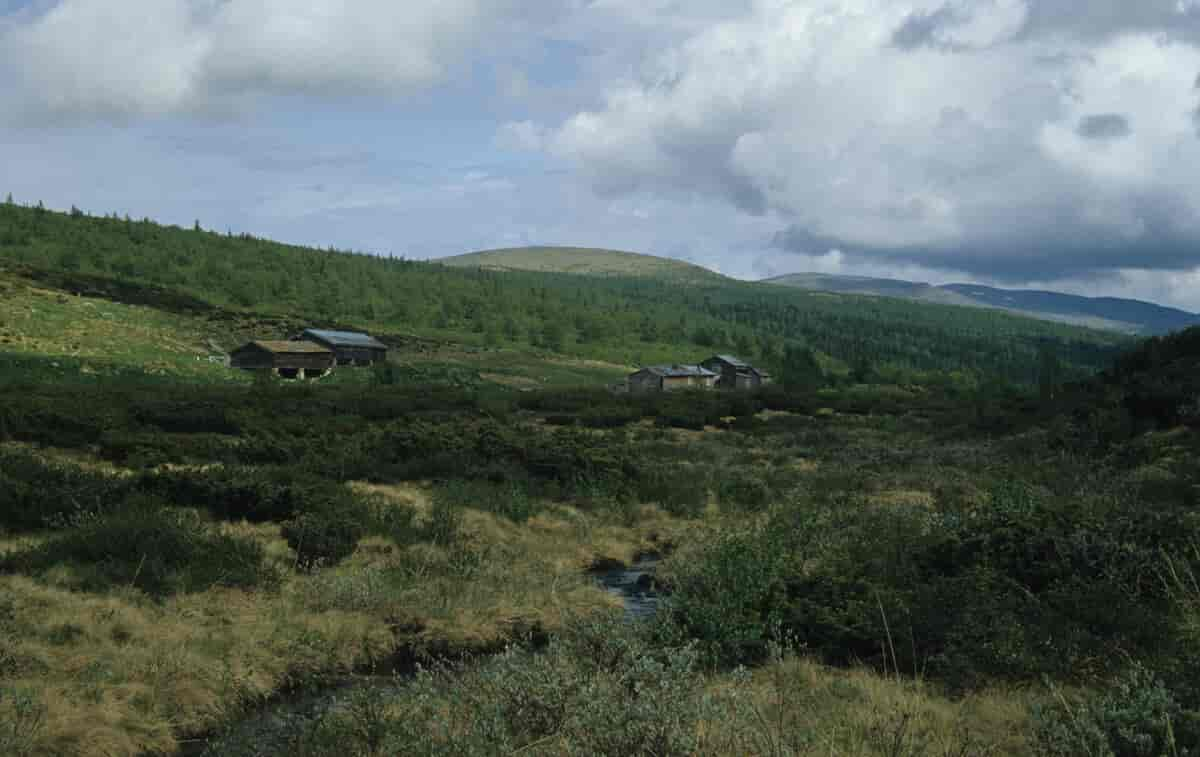 Åstadalen ved Friisveien.