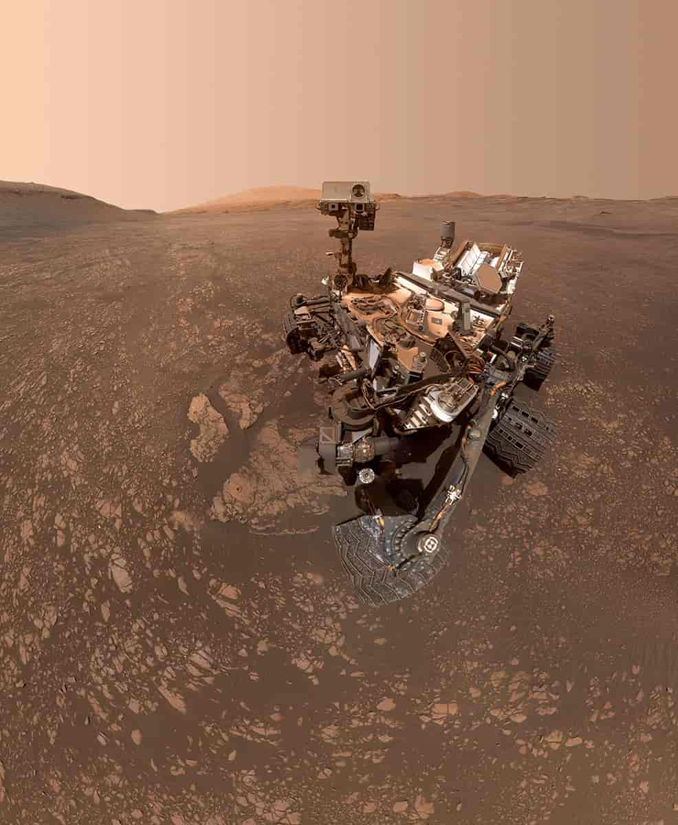 Curiosity-selfie