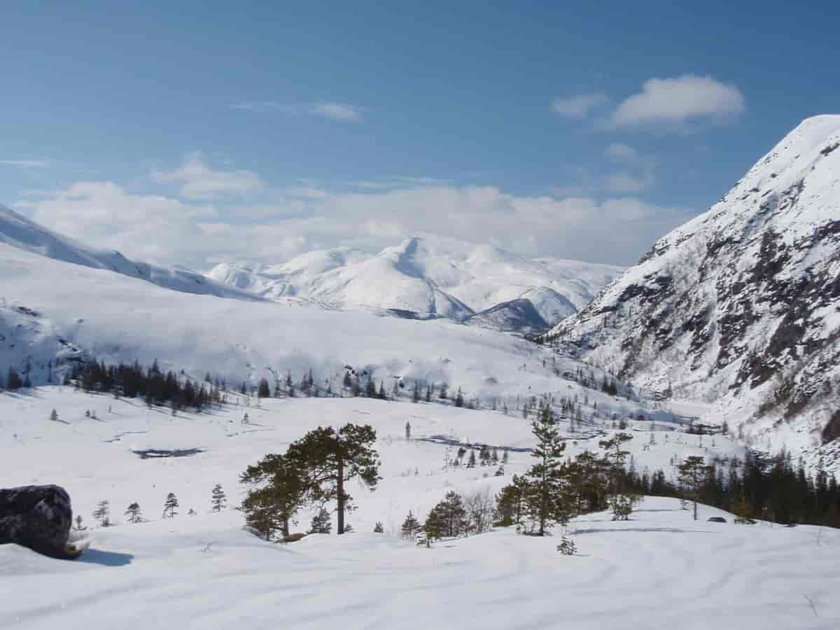 Austerfjorddalen