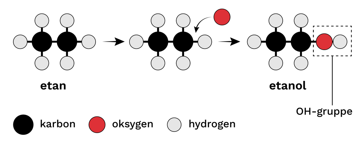 Oppbygging av ein alkohol