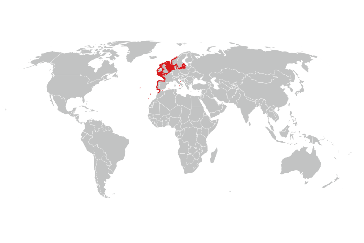 utbredelse av berggylt