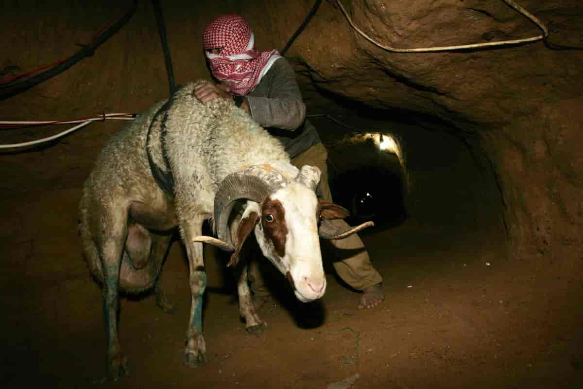 Gaza tunnel