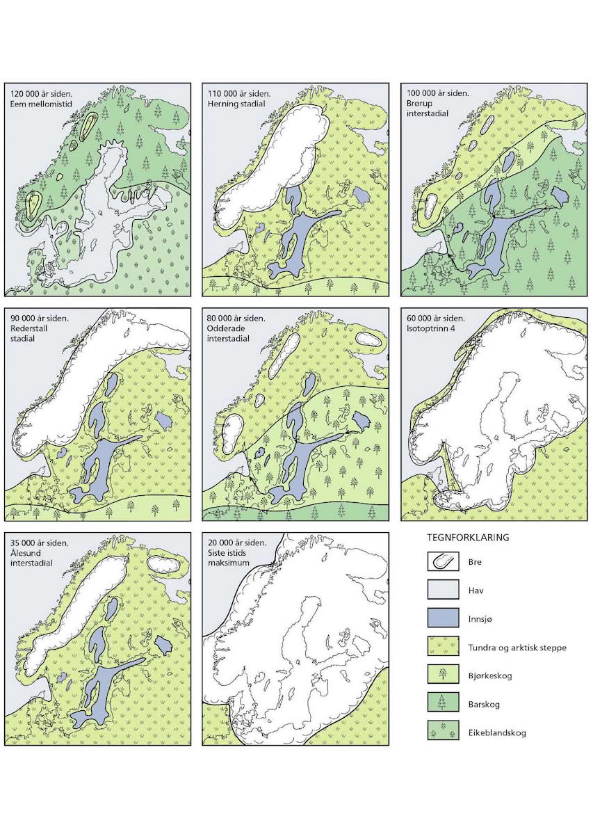 Figru med åtte kart som viser is og vegetasjon i Norden og deler av Russland under siste mellomistid.