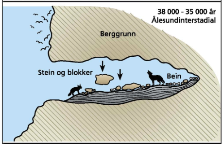 Tegning som viser tverrsnittet av en hule med leire i bunnen. Oppå leira står to dyr mellom beinrester og steiner. En pil viser at steiner har falt fra taket. På utsiden over åpningen av hula flyr det fugler tett inntil fjellsiden.