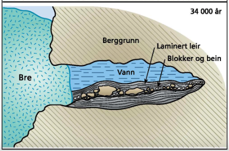 Tegning som viser tverrsnittet av en hule med to lag leire i bunnen og resten vann. Mellom leirelagene ligger steiner og beinrester. Breen utenfor går helt inntil fjellet, dekker huleåpningen og holder holder vann og leire inne i hula.