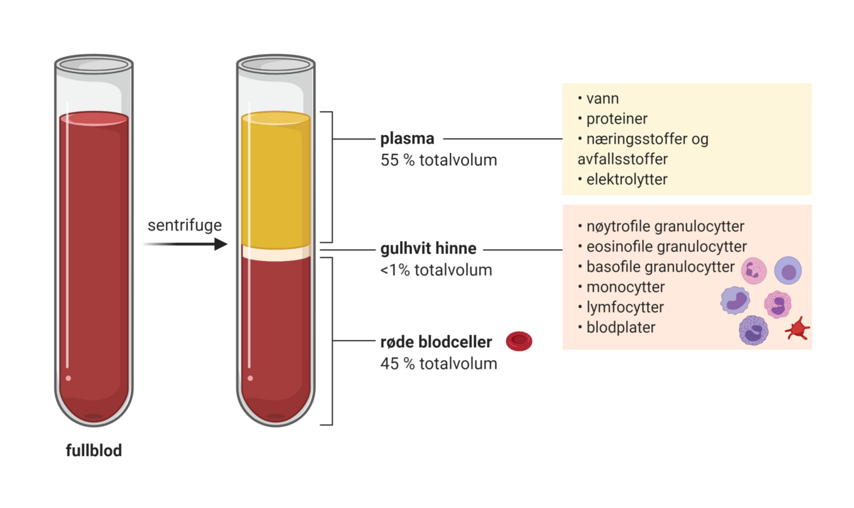 Sentrifugert blod