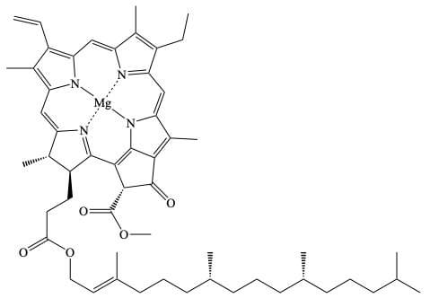 klorofyll a