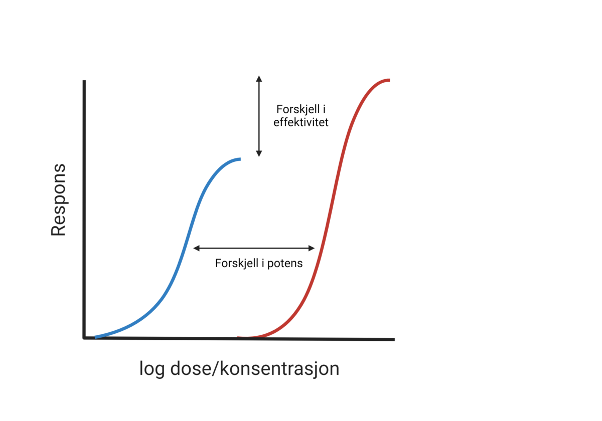 Effektivitet og potens