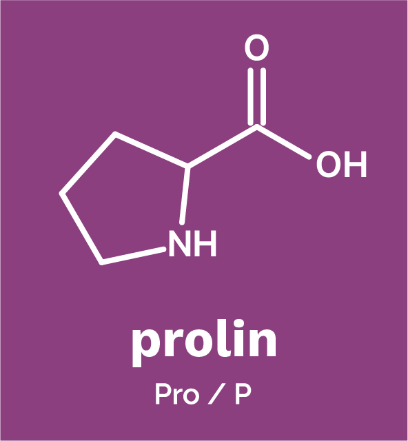 Prolin