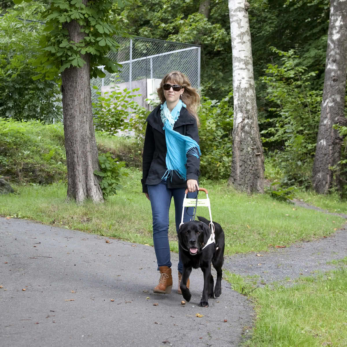 En kvinne med mørke briller som går med en svart retriever i en hvit sele. Hun holder selen i venstre hånd og hunden går rett framover.