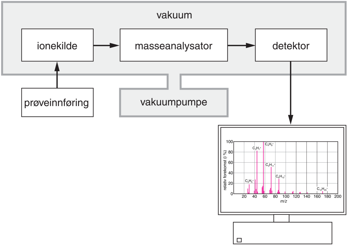 Massespektrometer (skjematisk)