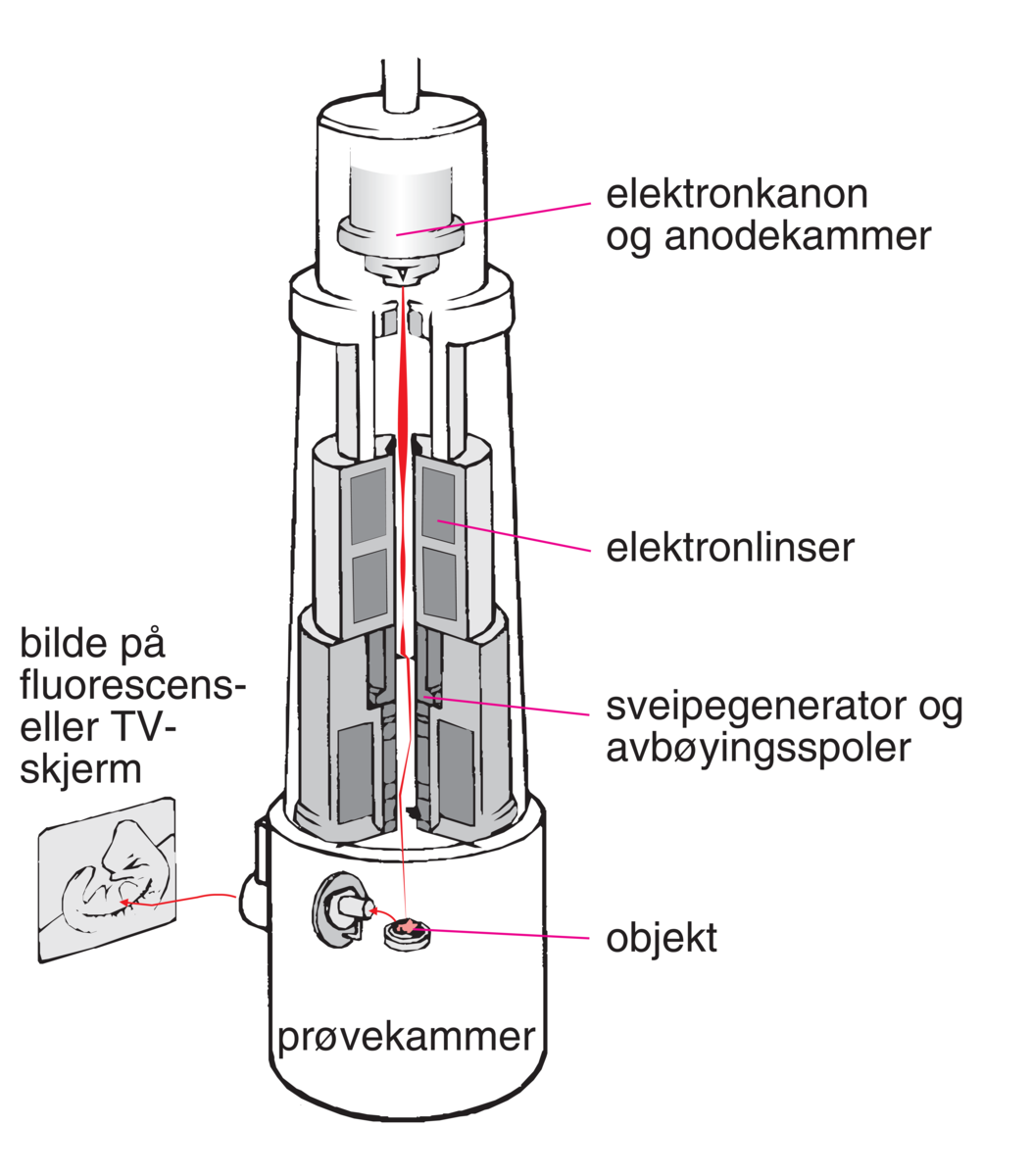 Elektronmikroskop (sveipel-)