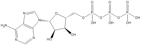 Struktur ATP