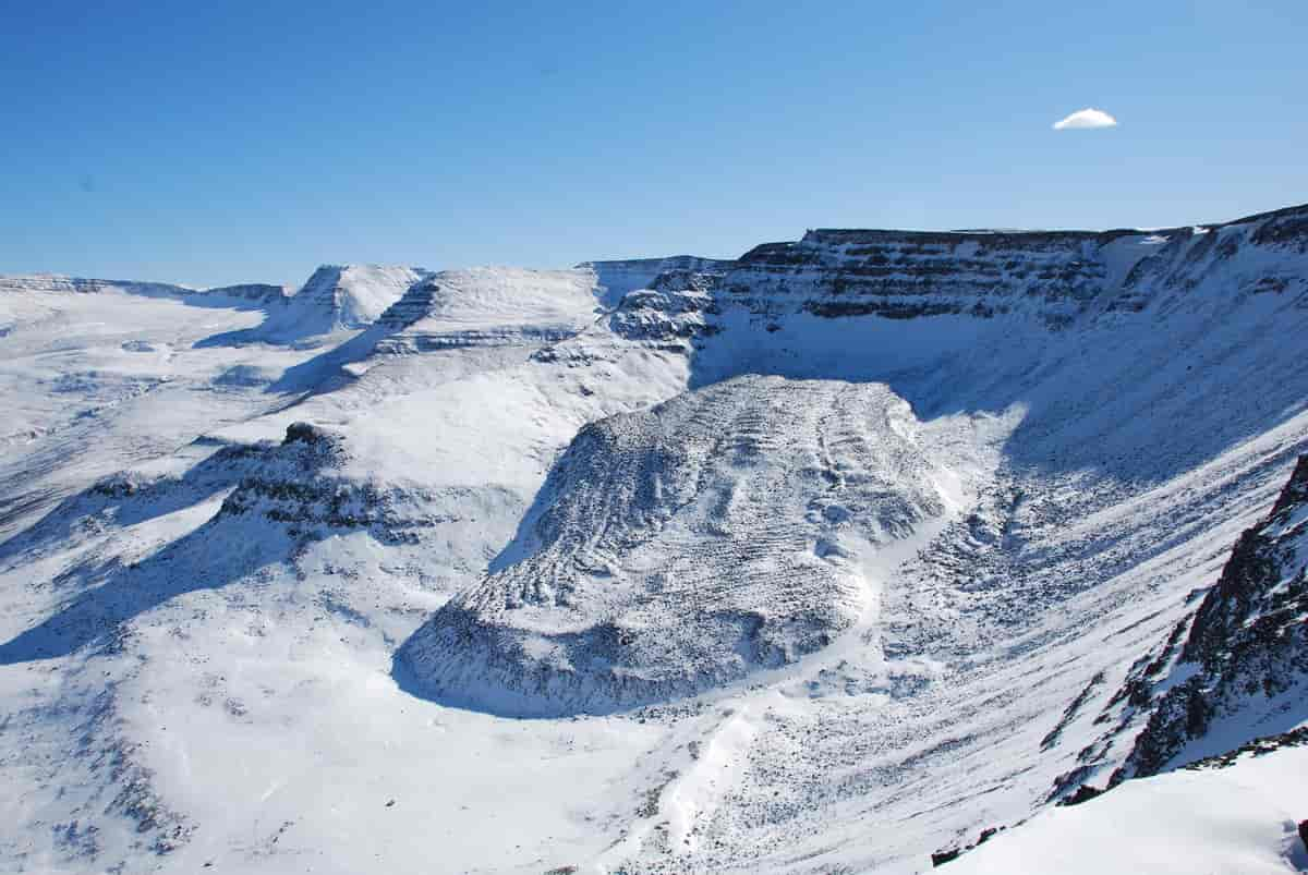 Steinbre på Island