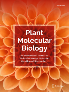 Plant Molecular Biology