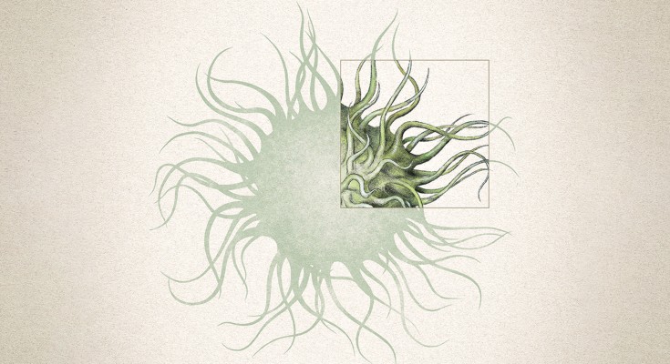 Artistic impression of a biomolecular condensate for which a quarter of its surface is drawn up at a higher resolution to depict the texture of the droplet's transition to a state or aggregation