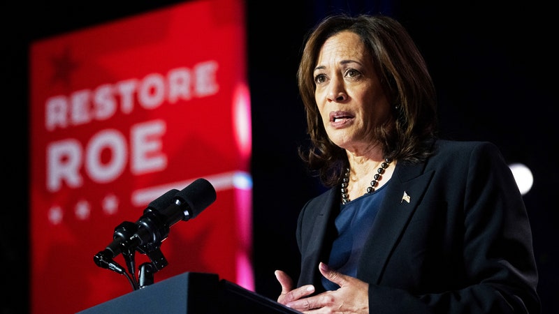 Abortion Rights Groups Rush to Back Kamala Harris