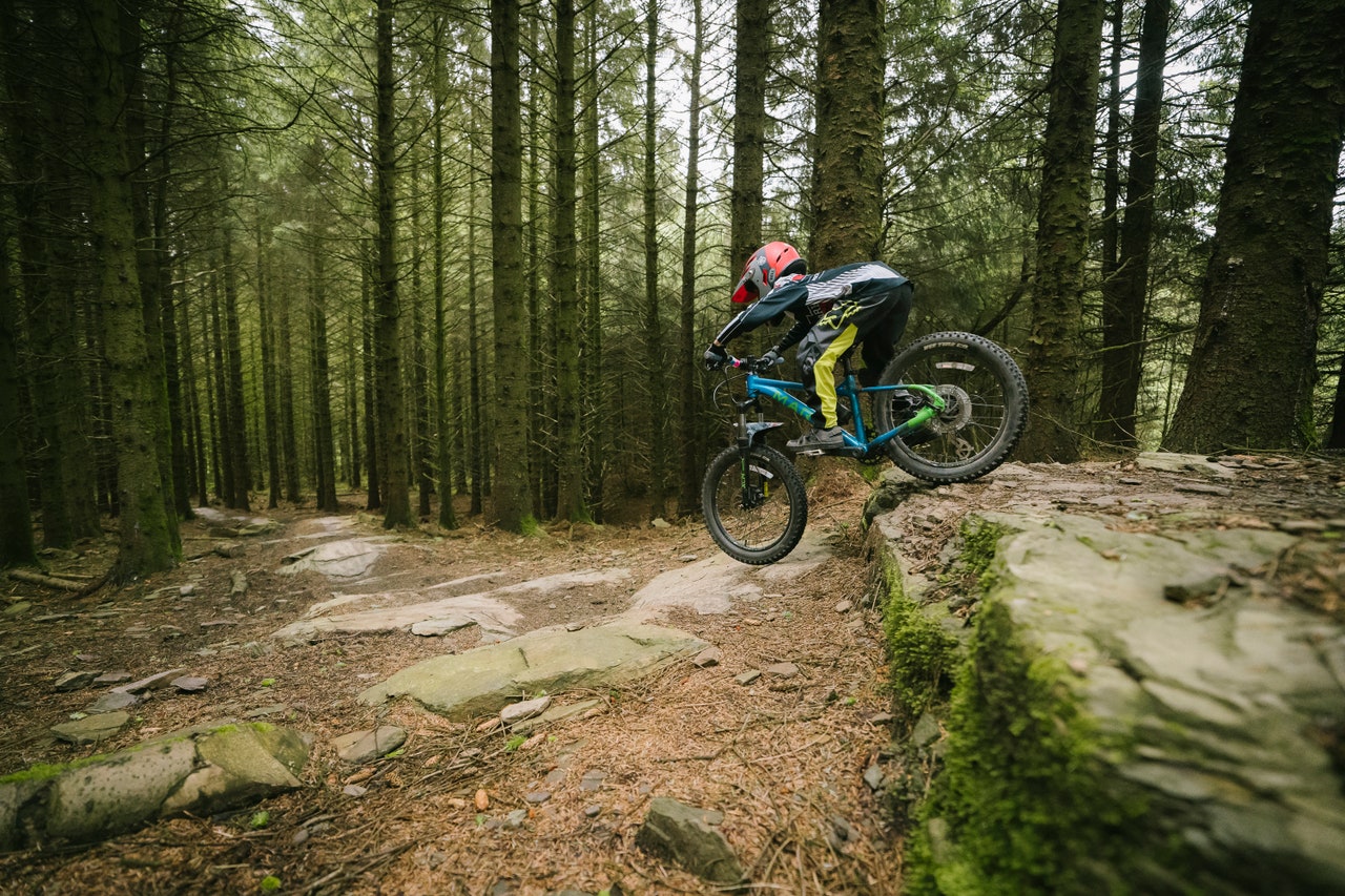 Mountain Bikers Are Rewilding Land by Paying the Government to Do It