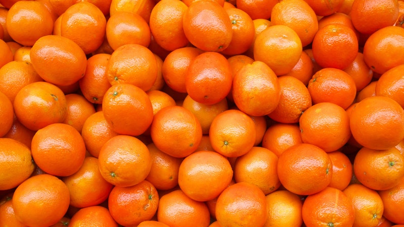 The Fight to Save Florida’s Oranges