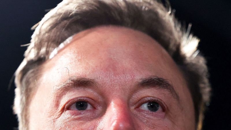 Elon Musk's America PAC Has Created an Election Denial Cesspool on X