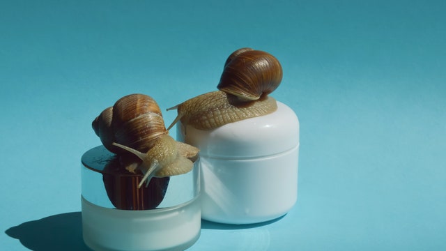 Why Snail Mucin? Or, How This Ancient Practice Became a Skin Care Sensation