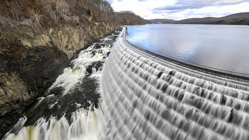 Invasive Species Are Threatening the Quality of New York’s Tap Water