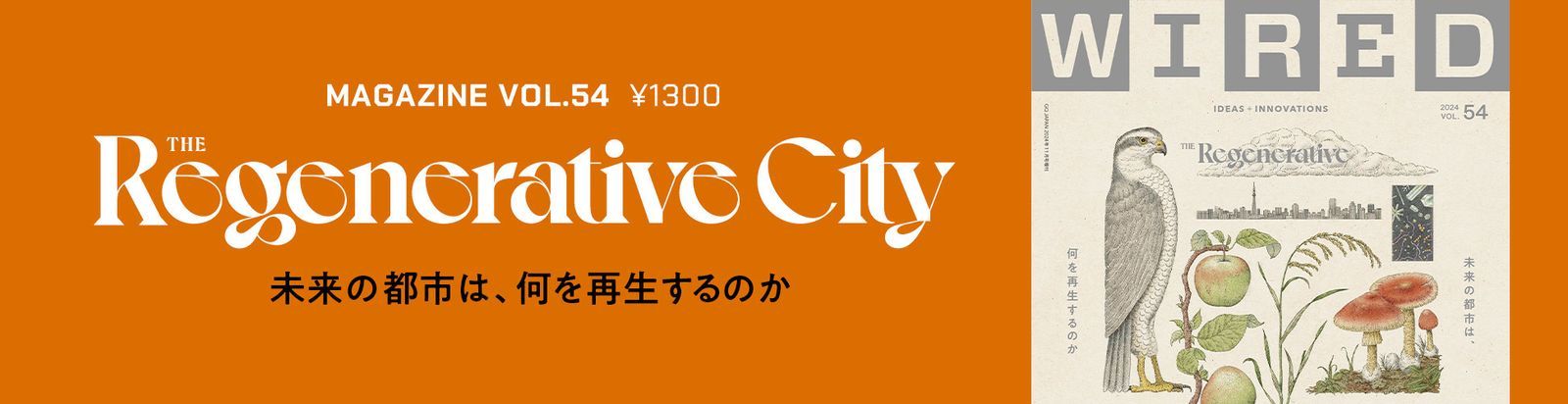 アパルトヘイト終結に貢献した暗号プログラムのコードが、30年を経て公開された