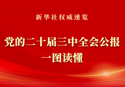 新华社权威速览｜党的二十届三中全会公报一图读懂