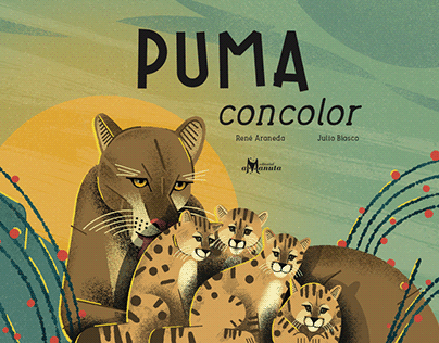 PUMA CONCOLOR