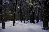 Coming by Woods in a Cold Evening