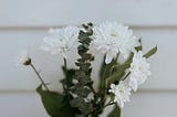 white flowers and eucalyptus in a vase