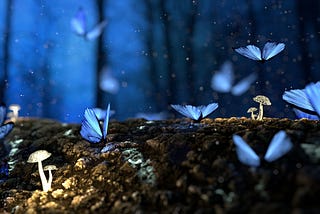 How the Butterfly Effect Subtly but Significantly Shapes Your Life