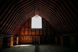 A Precious Moment Inside the Barn as People and Animals Connect