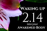 Waking Up Into Your Awakened Body