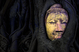 Image of a statue embedded in tree roots. From Unsplash.com