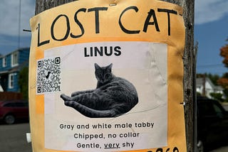 An orange lost cat sign for Linus.