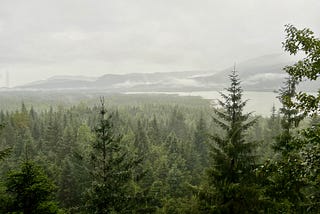 A vista of evergreen trees and a waterway and mountains in the background.