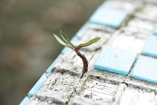 Anyone else being proactive by grieving the loss of parents who are still alive?