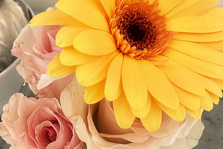 An arrangement of yellow Gerbera daisy and pale pink roses in a vase.