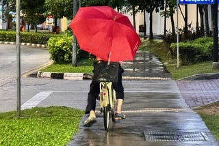 Another Walk in the Rain