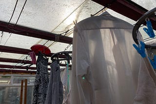 Cobwebs Adorn The New Drying Line