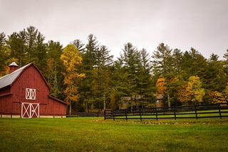 Autumn: The Glorious Season of Change