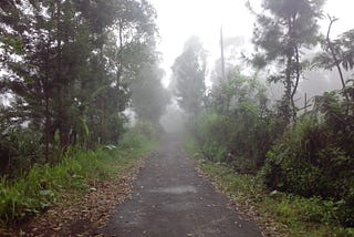 Ten Little Creatures from Mount Slamet