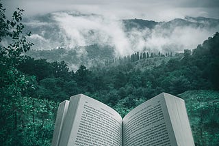 Someone reading a book amidst lush green foggy mountains