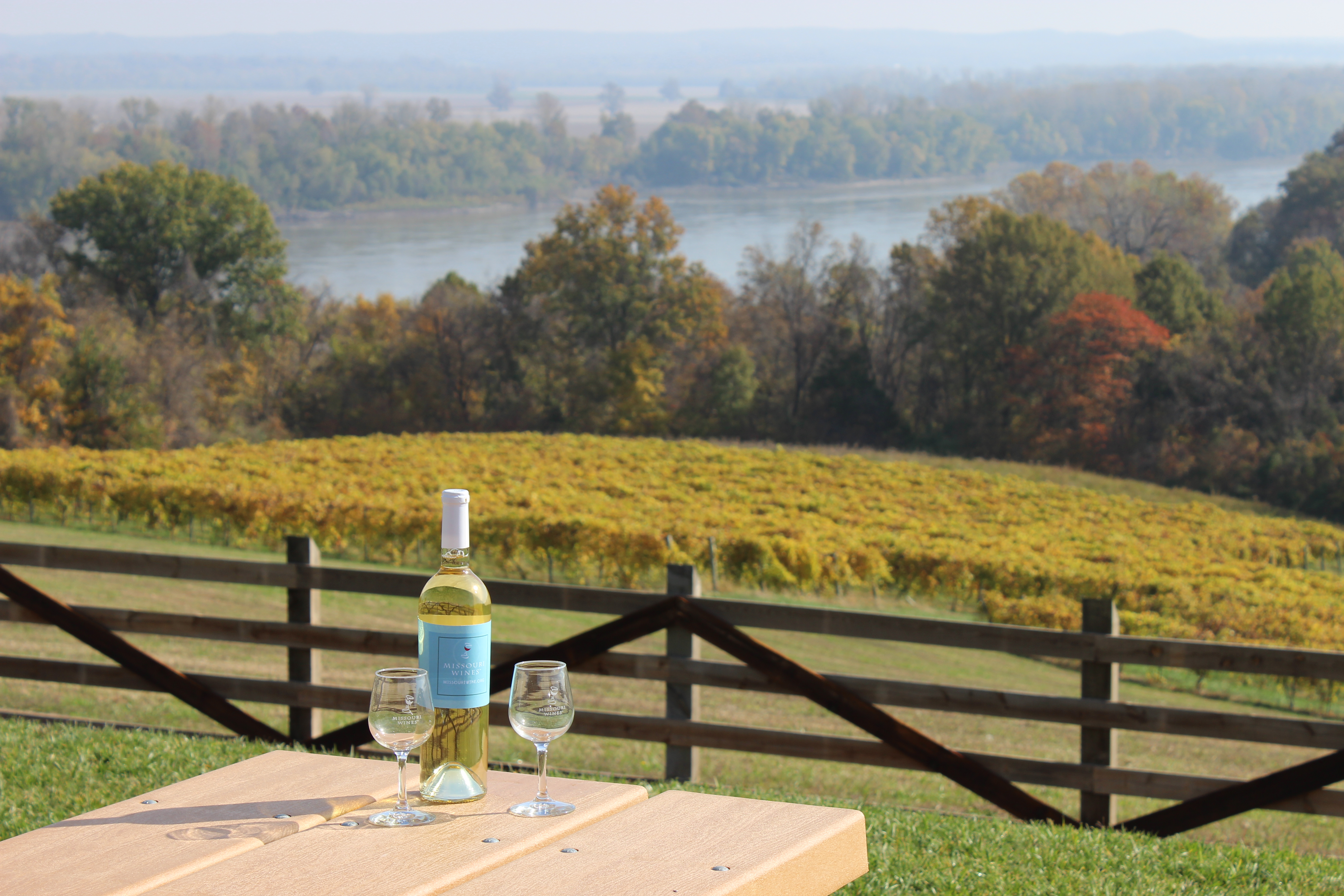 Fall view of wine country