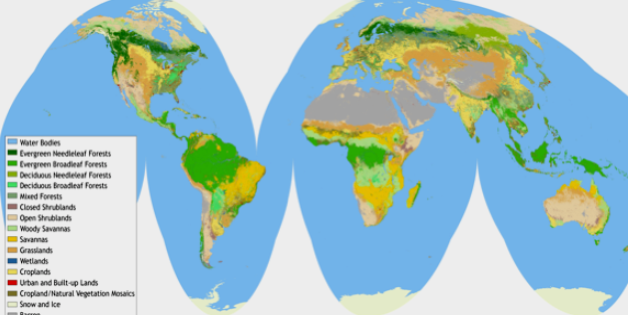 global Landcover 