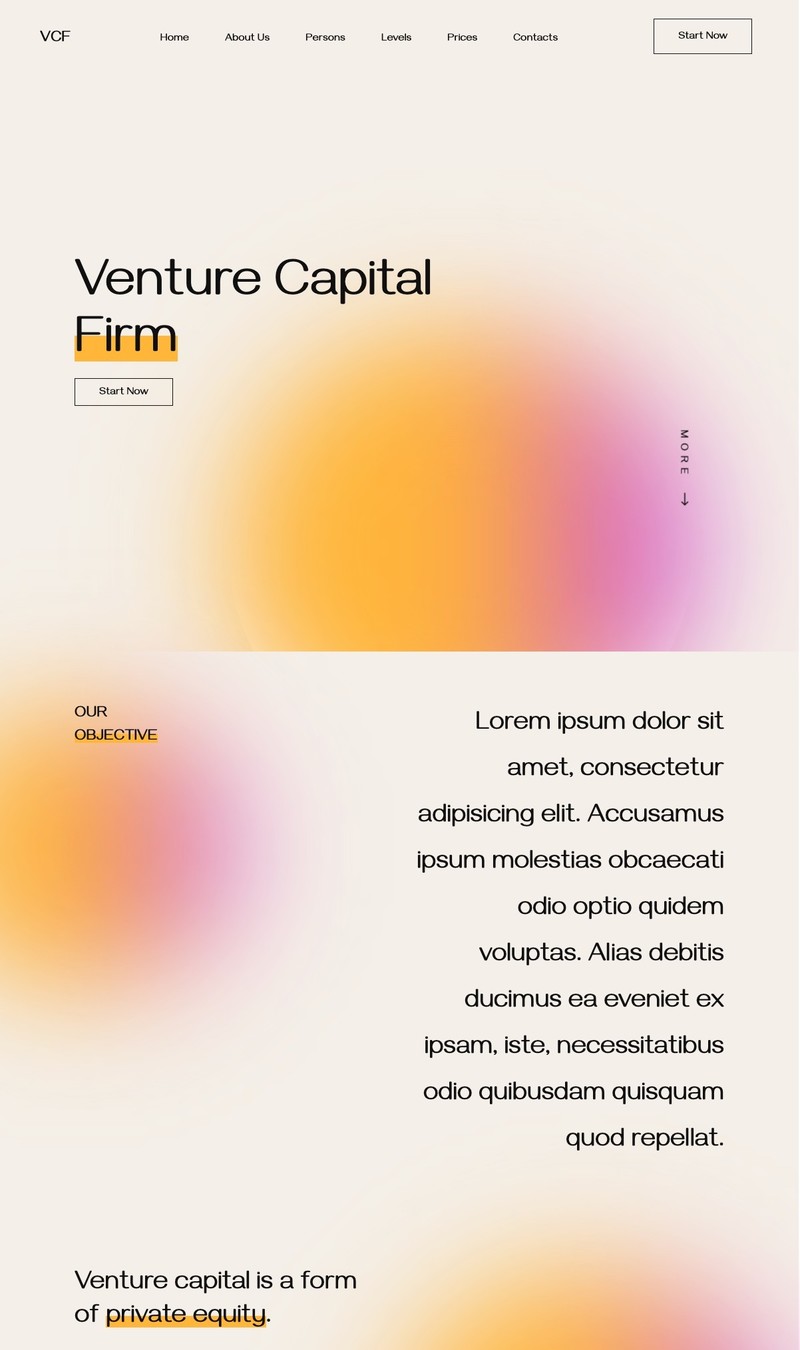 Venture Capital Firm