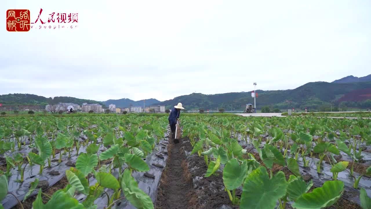 “小吃村”变身记