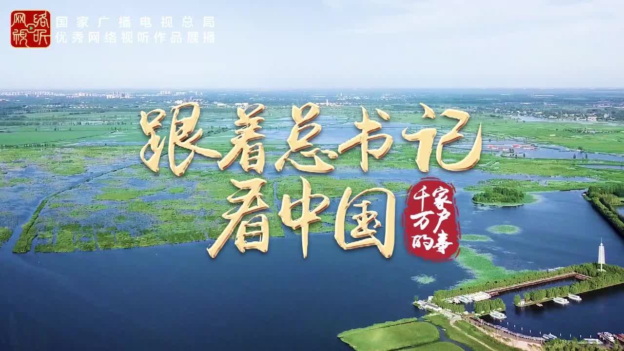 闯雄安 创未来